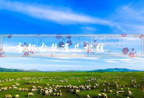 唐朝古琴有幾根弦，歷史、制作、演奏